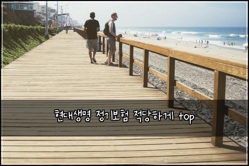 현대생명 정기보험 적당하게  top