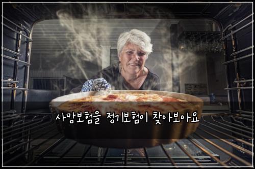 ์ฌ๋ง๋ณดํ์ ์ ๊ธฐ๋ณดํ์ด ์ฐพ์๋ณด์์