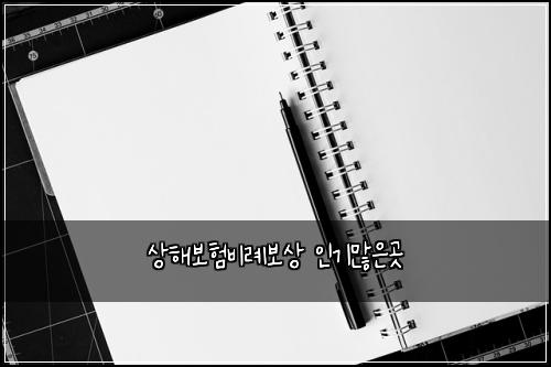 μν΄λ³΄νλΉλ‘보μ μΈκΈ°λ§μκ³³