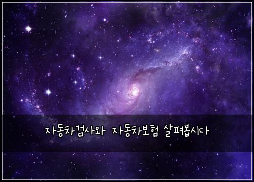 ์๋์ฐจ๊ฒ์ฌ์ ์๋์ฐจ๋ณดํ ์ดํด๋ด
์๋ค