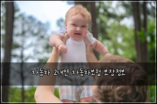 자동차 2대면 자동차보험 보장정보 
