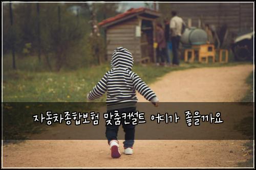 ์๋์ฐจ์ข
ํฉ๋ณดํ ๋ง์ถค์ปจ์คํธ ์ด๋๊ฐ ์ข์๊น์