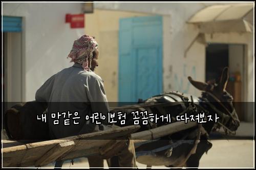 내 맘같은 어린이보험 꼼꼼하게 따져보자
