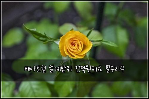 태아보험 설계받귀  견적원해요 필수라구