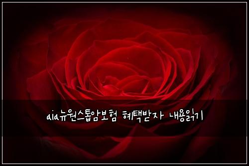 aia๋ด์์คํฑ์๋ณดํ ํํ๋ฐ์ ๋ด์ฉ์ฝ๊ธฐ
