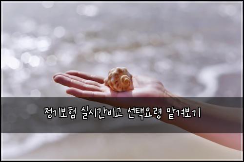 정기보험 실시간비교  선택요령 맡겨보기