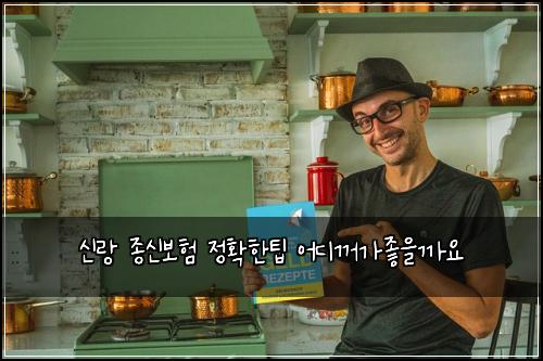 신랑 종신보험 정확한팁  어디꺼가좋을까요