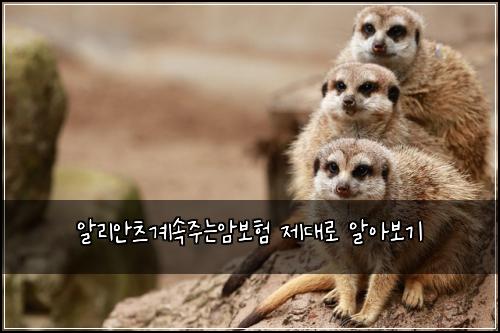 알리안츠계속주는암보험 제대로 알아보기