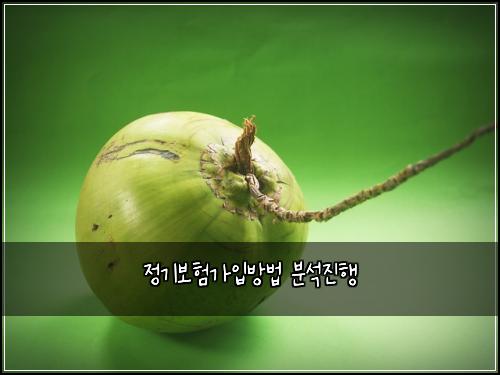 정기보험가입방법 분석진행
