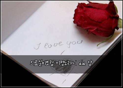 ์๋ฃ์ค๋น๋ณดํ ์ด์ ๋๋ผ๋ aia ์