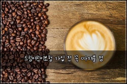 드림어린이보험 가입 전 꼭 따져볼 점