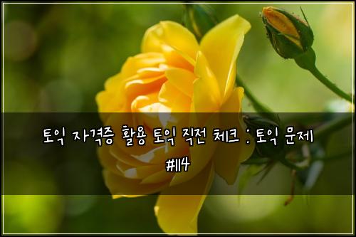 토익 자격증 활용 토익 직전 체크 : 토익 문제 #114