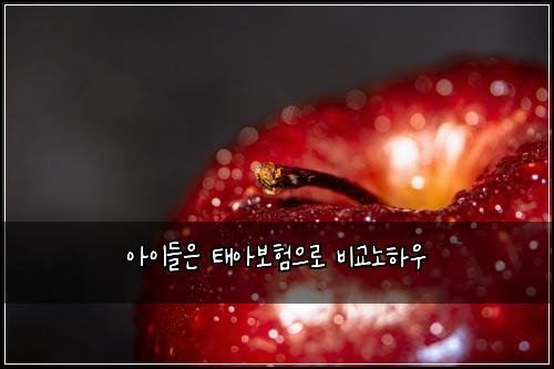 아이들은 태아보험으로 비교노하우
