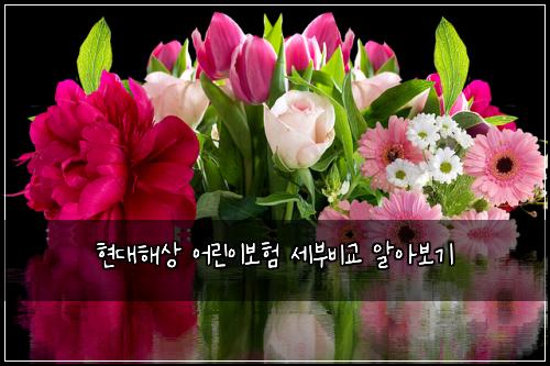 현대해상 어린이보험 세부비교  알아보기