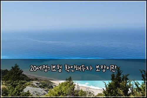 20세정기보험 확인해두자  보장이란