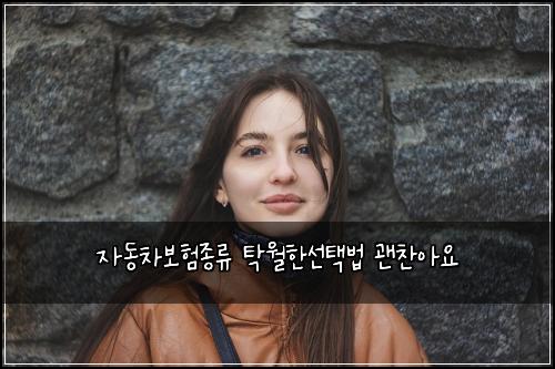 ์๋์ฐจ๋ณดํ์ข
๋ฅ ํ์ํ์ ํ๋ฒ ๊ด์ฐฌ์์