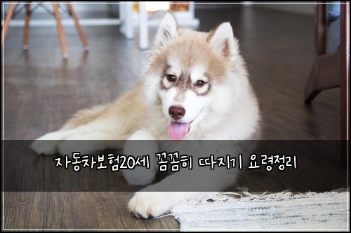 ์๋์ฐจ๋ณดํ20์ธ ๊ผผ๊ผผํ ๋ฐ์ง๊ธฐ ์๋ น์ ๋ฆฌ