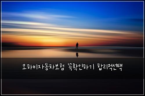 ๋ชจํ๋น์๋์ฐจ๋ณดํ ๊ผญํ์ธํ๊ธฐ ํฉ๋ฆฌ์ ์ ํ