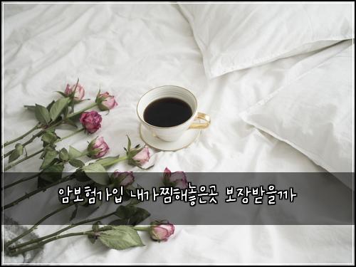 ์๋ณดํ๊ฐ์
๋ด๊ฐ์ฐํด๋์๊ณณ ๋ณด์ฅ๋ฐ์๊น