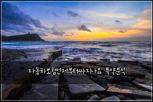 ์๋์ฐจ๋ณดํ์ธ์ ๋ถํฐ์ธ์ง๋์ ํน์ฝ๋ถ์