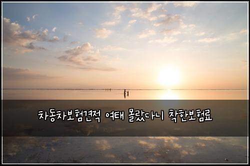 μ°¨λ차보ν견μ μ¬ν λͺ°λλ€λ μ°©ν보νλ£