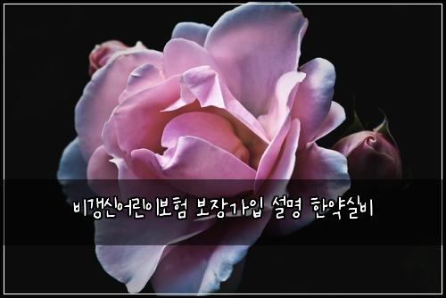 비갱신어린이보험 보장가입  설명 한약실비
