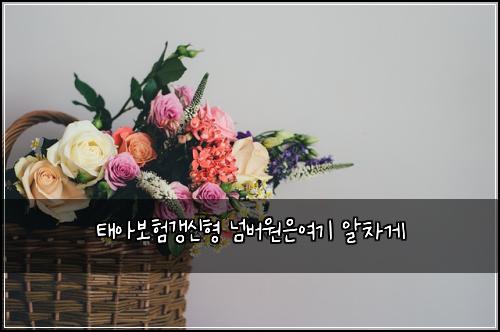 태아보험갱신형 넘버원은여기 알차게