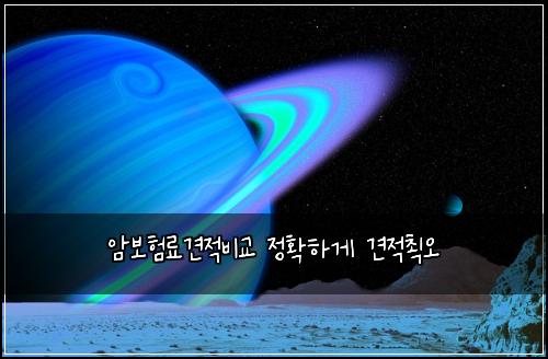 ์๋ณดํ๋ฃ๊ฒฌ์ ๋น๊ต ์ ํํ๊ฒ ๊ฒฌ์ ์ต์ค