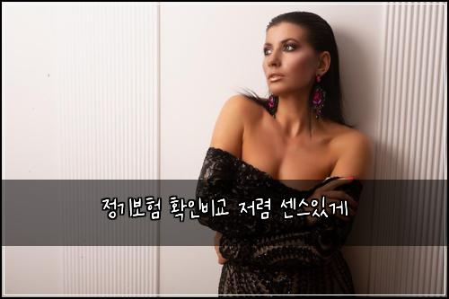 정기보험 확인비교  저렴 센스있게