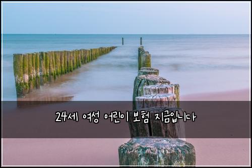 24μΈ μ¬μ± μ΄λ¦°μ΄ 보ν μ§κΈμ
λλ€