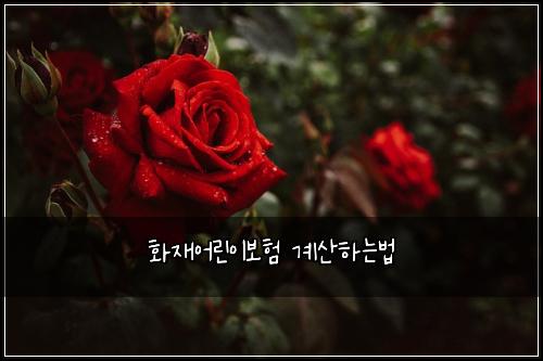 ํ์ฌ์ด๋ฆฐ์ด๋ณดํ ๊ณ์ฐํ๋๋ฒ
