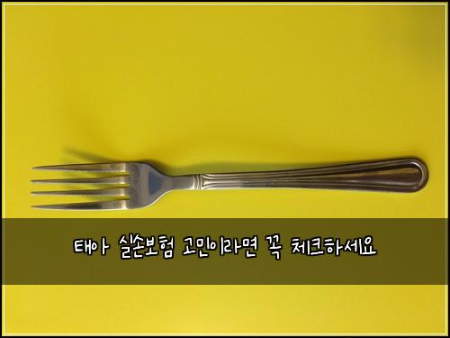 태아 실손보험 고민이라면 꼭 체크하세요
