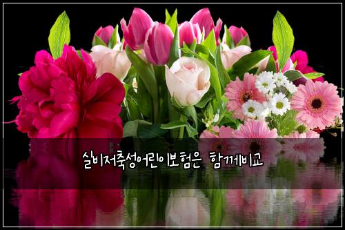 실비저축성어린이보험은 함께비교