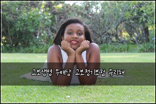 교보생명 무배당 교보정기보험 유리해 