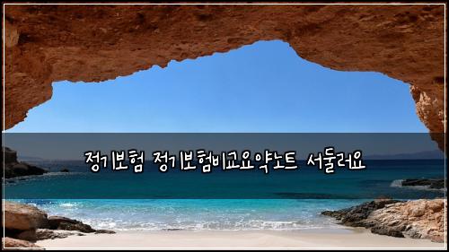정기보험 정기보험비교요약노트 서둘러요