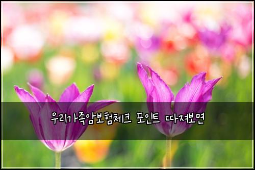 우리가족암보험체크 포인트 따져보면