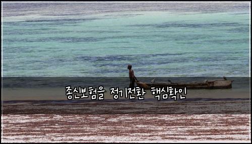 종신보험을 정기전환 핵심확인
