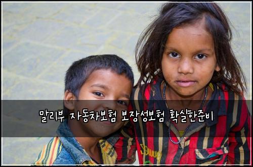 말리부 자동차보험 보장성보험  확실한준비