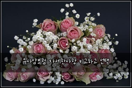 유사암보험 자세한사항  비교하고 선택