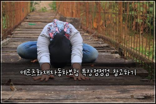 메르츠화재자동차보험 특장점점검  참고하기