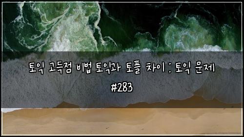 토익 고득점 비법 토익과 토플 차이 : 토익 문제 #283