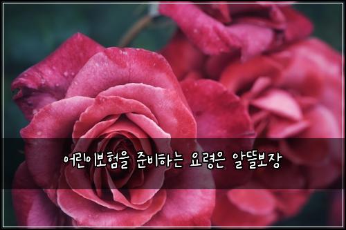 어린이보험을 준비하는 요령은 알뜰보장