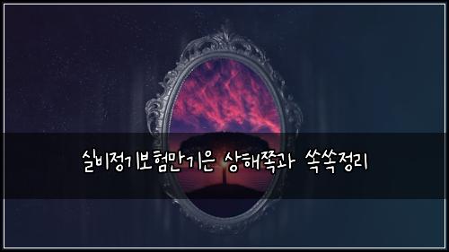 실비정기보험만기은 상해쪽과 쏙쏙정리