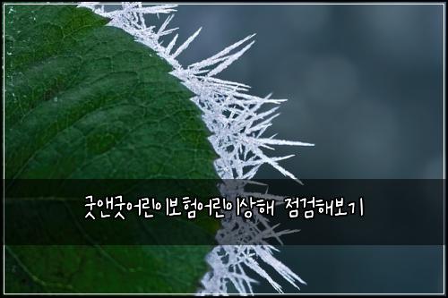 굿앤굿어린이보험어린이상해 점검해보기