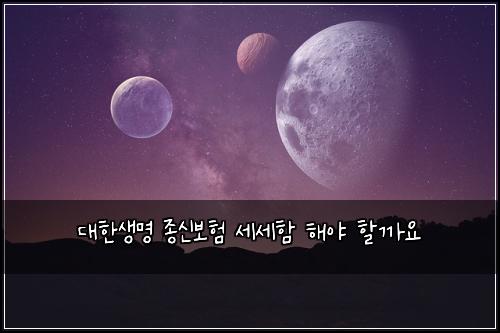 대한생명 종신보험 세세함  해야 할까요