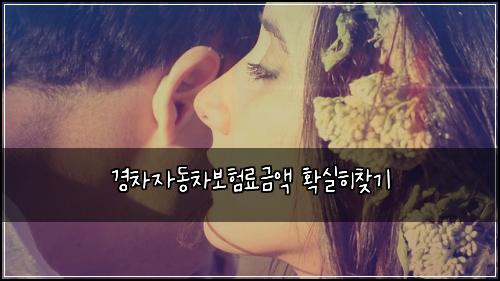 ๊ฒฝ์ฐจ์๋์ฐจ๋ณดํ๋ฃ๊ธ์ก ํ์คํ์ฐพ๊ธฐ