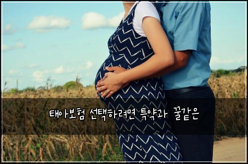 태아보험 선택하려면  특약과 꿀같은