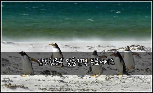 ์๋ณดํ์ค๋ณต ๋ง์ถค๊ฒฌ์ ๋ฌด๋ฃ์๋น์ค