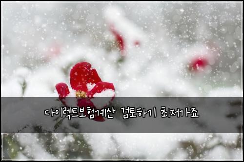 다이렉트보험계산 검토하기 최저가죠