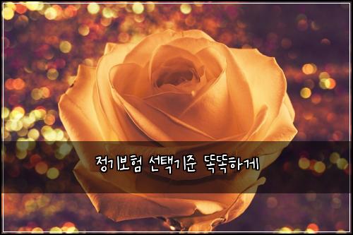 ์ ๊ธฐ๋ณดํ ์ ํ๊ธฐ์ค ๋๋ํ๊ฒ